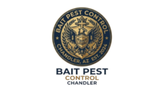 Bait Pest Control Chandler